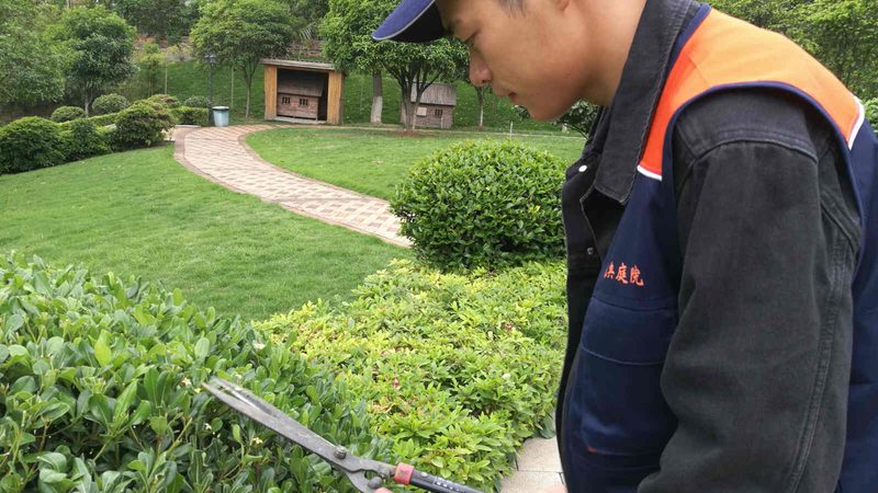 木质围栏厂家哪家性价比高