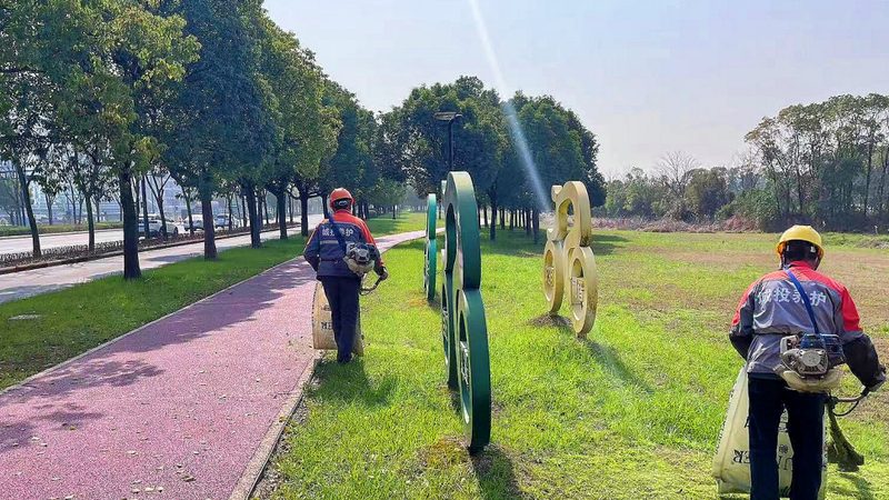 绿植租赁报价差异背后藏着什么