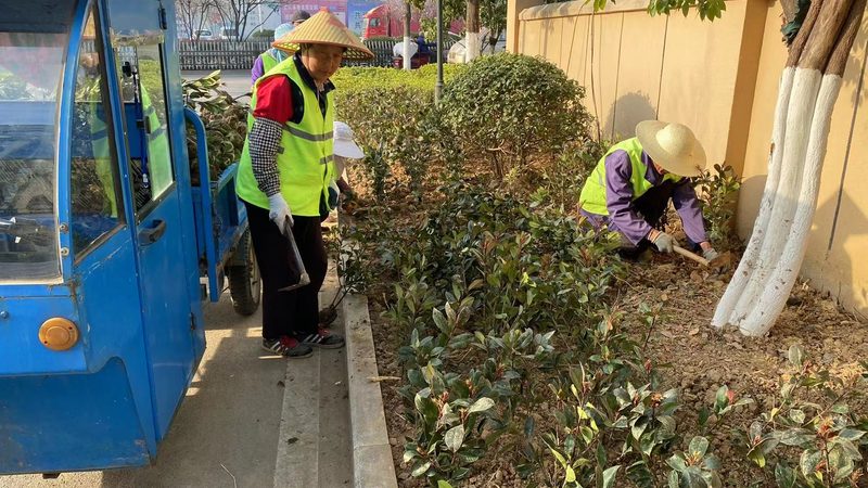 市政绿化灌溉系统：优与劣，如何抉择？**