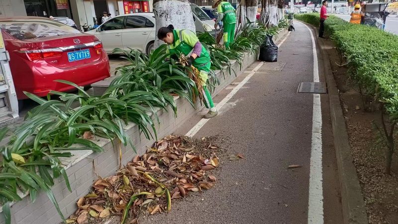 微型庭院设计：标准与规范全解析**