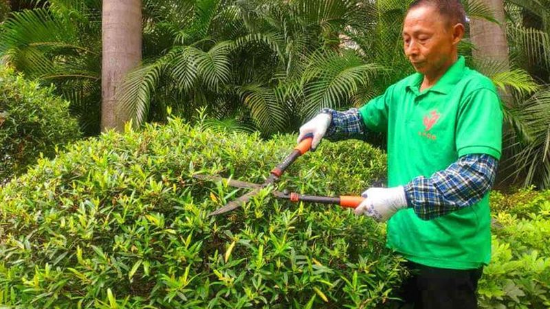 屋顶绿化蓄排水层安装方法：关键步骤与注意事项