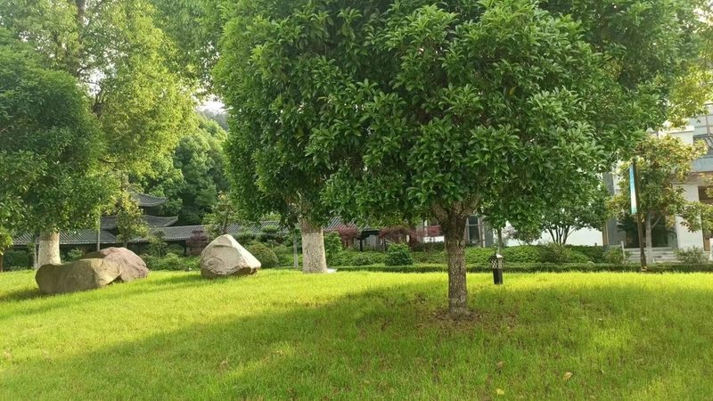 小区绿化施工踩坑实录：从土方到成景的五个关键管控点